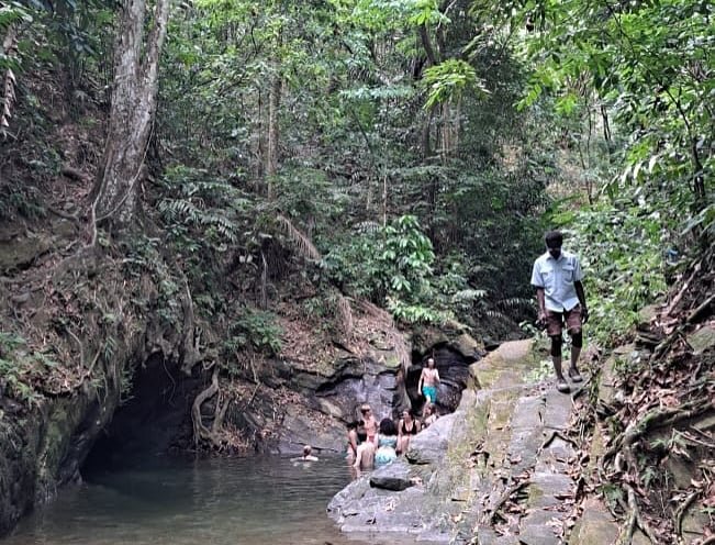 Eco tours at Fondes Amandes