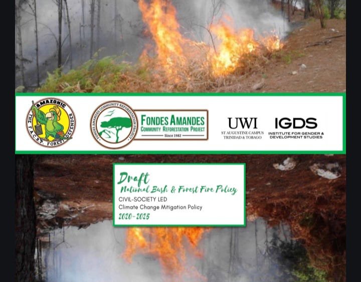 Draft National Bush and Forest Fire Policy document