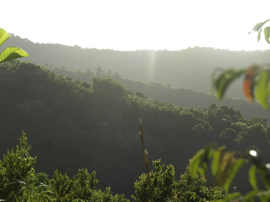 National Reforestation and Watershed Rehabilitation Programme