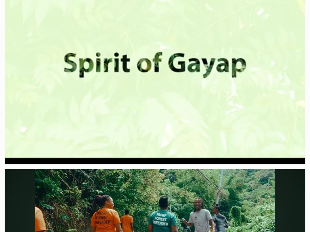 Spirit of Gayap documentary film