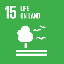 SDG 15 Life on Land